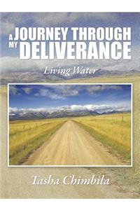 Journey Through My Deliverance