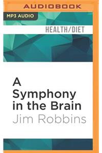 Symphony in the Brain