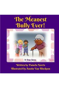 Meanest Bully Ever!