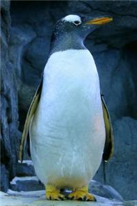 Gentoo Penguin Animal Journal