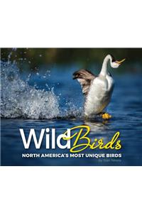 Wild Birds