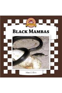 Black Mambas