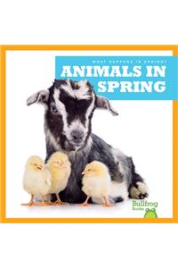 Animals in Spring