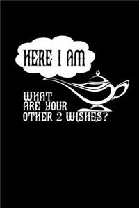 Here I am. What are your other 2 wishes?
