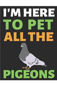 I'm Here To Pet All The Pigeons