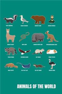 Animals Of The World