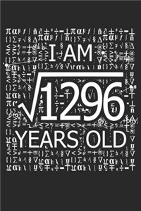 I Am 1296 Years Old