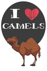 I Heart Camels