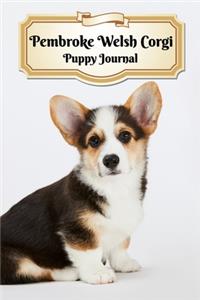 Pembroke Welsh Corgi Puppy Journal