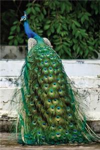 Low Vision Journal with Bold Lines 1/2