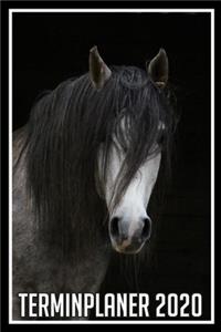 Terminplaner 2020