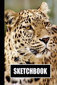 Sketchbook