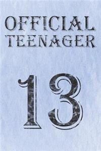 Official Teenager 13