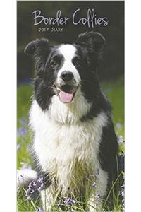 Border Collies Slim D 2017 (Diary Slim)