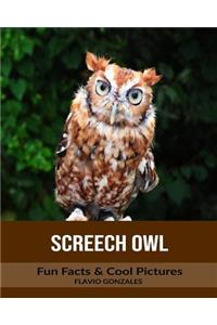 Screech Owl: Fun Facts & Cool Pictures