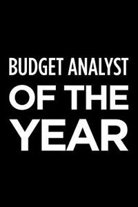 Budget Analyst of the Year