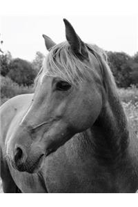Wild Horse in Pasture Chemistry Notebook