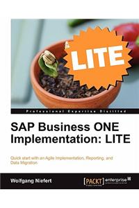 SAP Business One Implementation