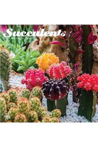 Succulents 2020 Square