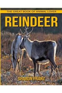 Reindeer