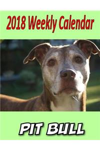 2018 Weekly Calendar Pit Bull