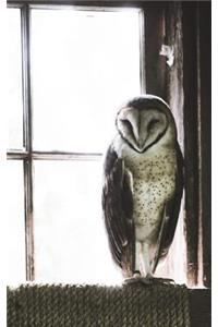 Barn Owl - Blank Notebook - 5