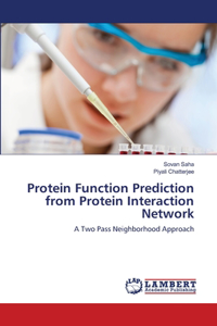 Protein Function Prediction from Protein Interaction Network