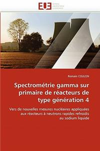Spectrométrie Gamma Sur Primaire de Réacteurs de Type Génération 4