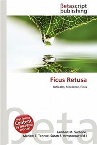 Ficus Retusa