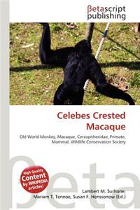 Celebes Crested Macaque