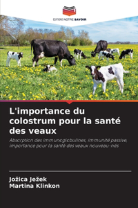 L'importance du colostrum pour la santé des veaux