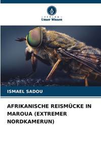 Afrikanische Reismücke in Maroua (Extremer Nordkamerun)