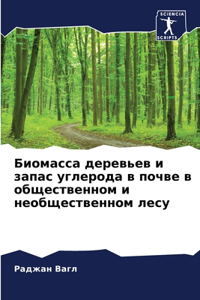 Биомасса деревьев и запас углерода в почвk