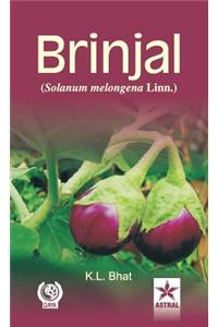 Brinjal