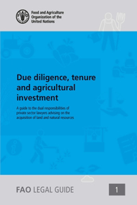 Due Diligence, Tenure and Agricultural Investments