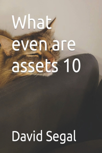 What even are assets 10
