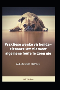 Praktiese wenke vir honde-eienaars: om nie weer algemene foute te doen nie : ALLES OOR HONDE