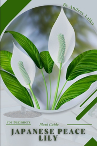 Japanese Peace Lily