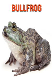 Bullfrog