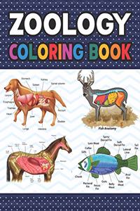 Zoology Coloring Book