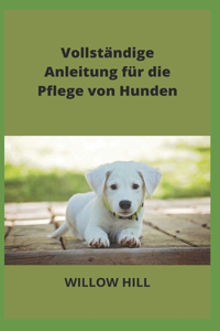 Vollständige Anleitung für die Pflege von Hunden