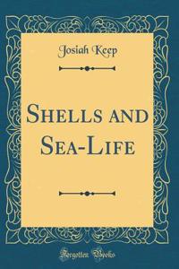 Shells and Sea-Life (Classic Reprint)