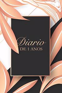 Diário de 1 ano