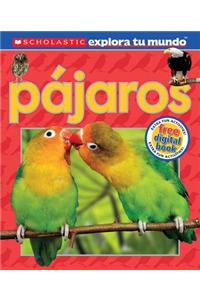 Scholastic Explora Tu Mundo: Pajaros: (Spanish Language Edition of Scholastic Discover More: Birds)