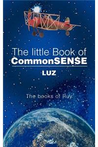 Little Book of Commonsense