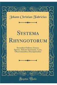 Systema Rhyngotorum: Secundum Ordines, Genera, Species, Adiectis Synonymis, Locis, Observationibus, Descriptionibus (Classic Reprint)