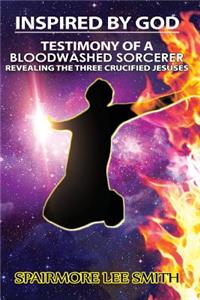 Testimony of A Blood Washed Sorcerer