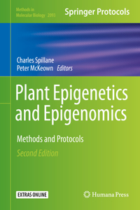 Plant Epigenetics and Epigenomics