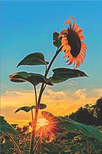 Sunflower at Sunset Journal & Sketchbook