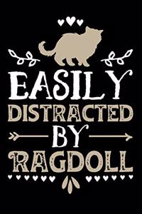 Easily Distracted by Ragdoll